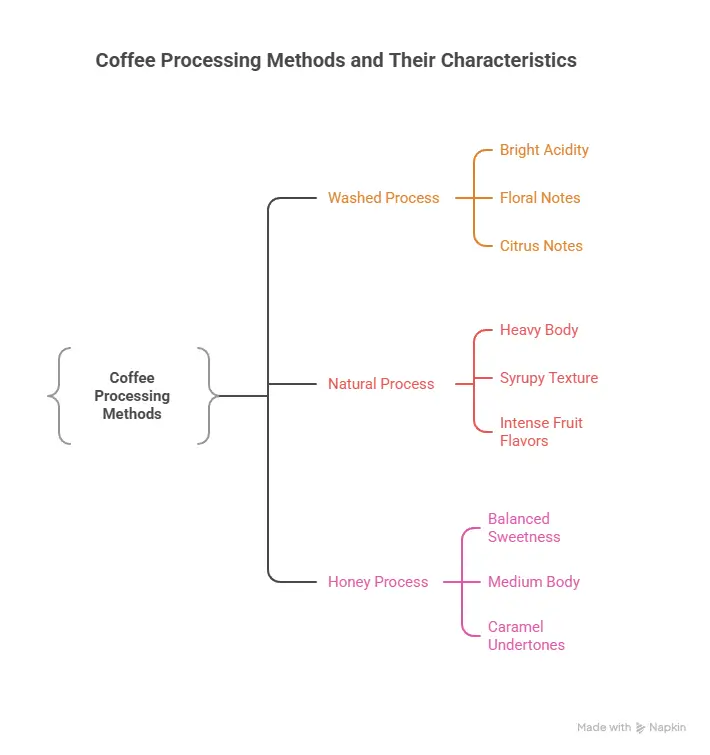 Coffee processing methods