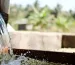 Washed Process Coffee Methods